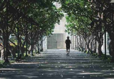 深夜热门：海角官网网址最受欢迎页面盘点
