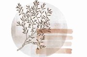 老司机教你玩转觅圈，附上详细指南